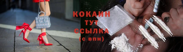 прущий лед Алзамай