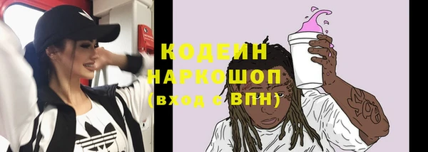 прущий лед Алзамай