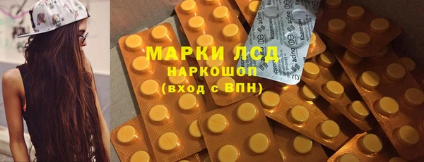 прущий лед Алзамай